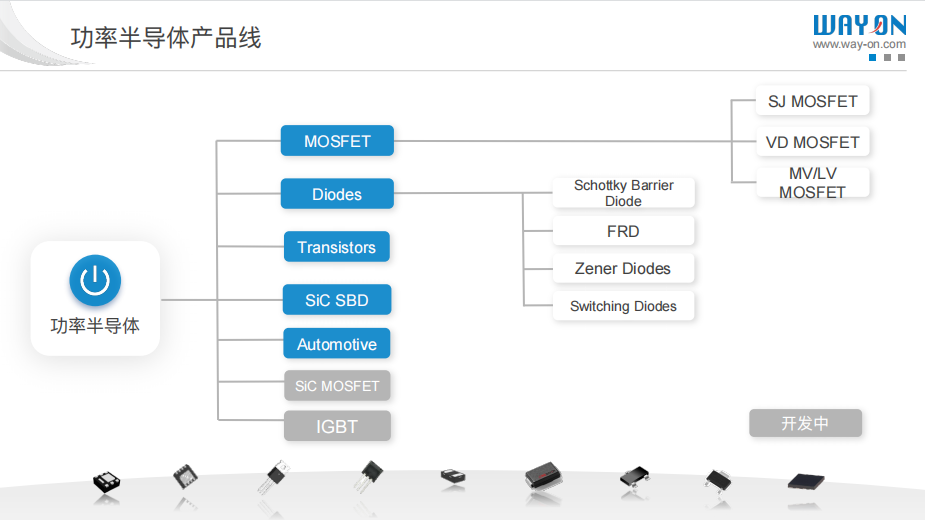WAYON代理商，维安MOS管，维安SBD，肖特基二三极管，维安LDO线性稳压，PTC，保险丝，ESD ，IGBT ，OVP， TVS代理商.png
